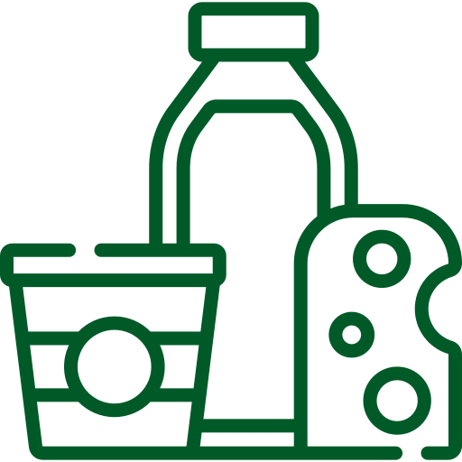 Lakto-Ovo Vejetaryen