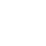 Ayakkabı Vegan Belgesi