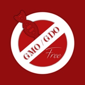 NON-GMO Sertifikası