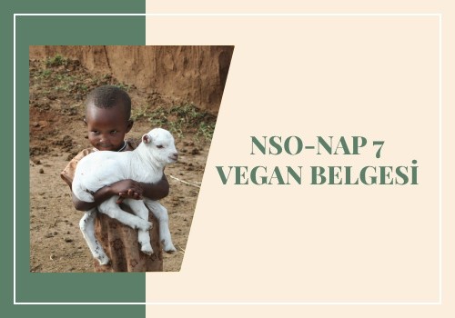 Vegan Belgesi ve Hayvan Hakları